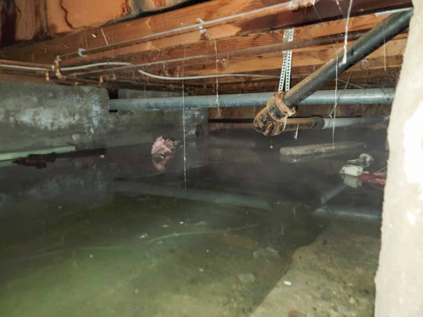 Best Basement water damage restoration  in Saratoga, CA