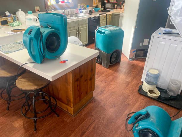 Best Water damage restoration near me  in Saratoga, CA