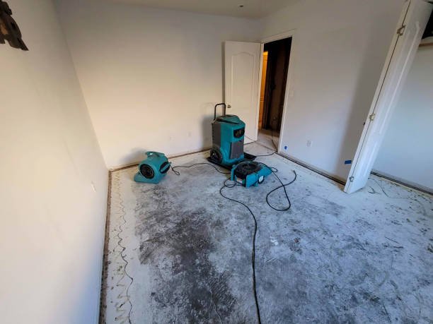 Best Water damage restoration near me  in Saratoga, CA