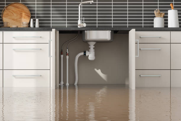 Best Carpet water damage restoration  in Saratoga, CA